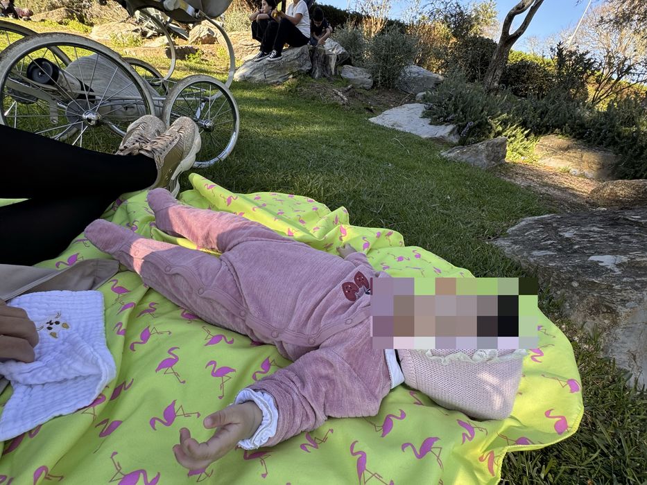 Ama dedicada - cuido de bebes  de 0- a 1 ano com amir e responsabilida