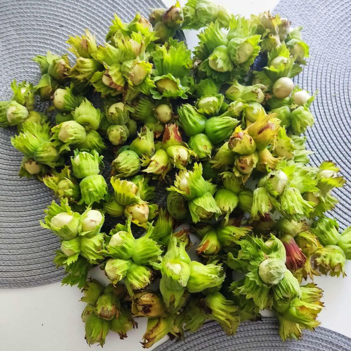 4kg orzechy laskowe w łupinie