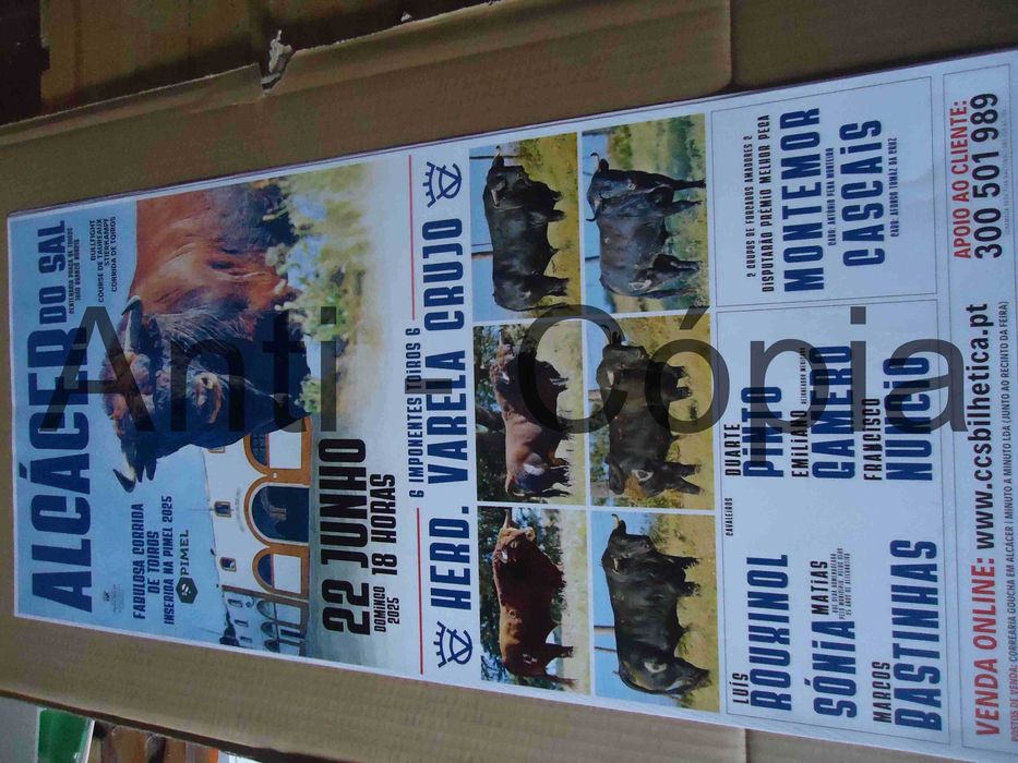 Toiros - Cartazes de Montra 1