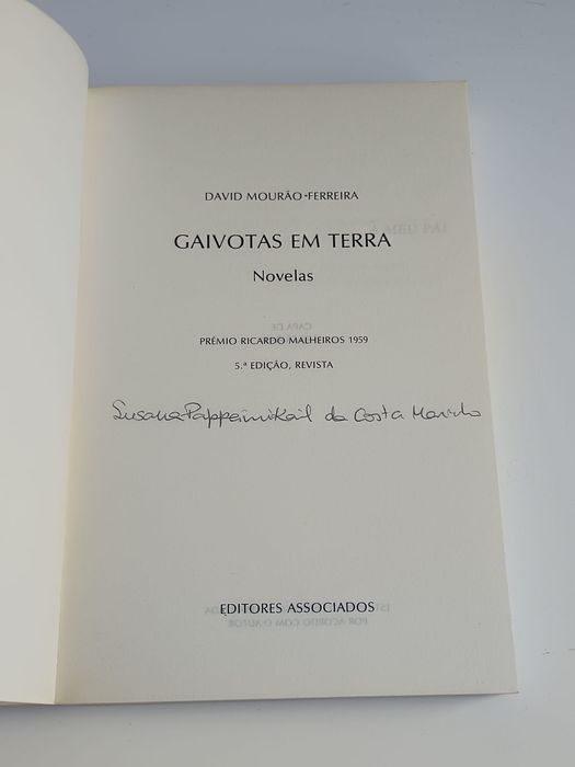 Gaivotas em terra