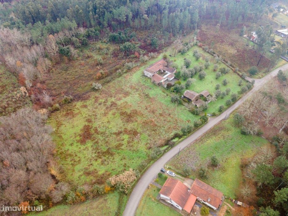 Quinta T5 em Poiares, Vila Nova de Poiares - Oportunidade Única
