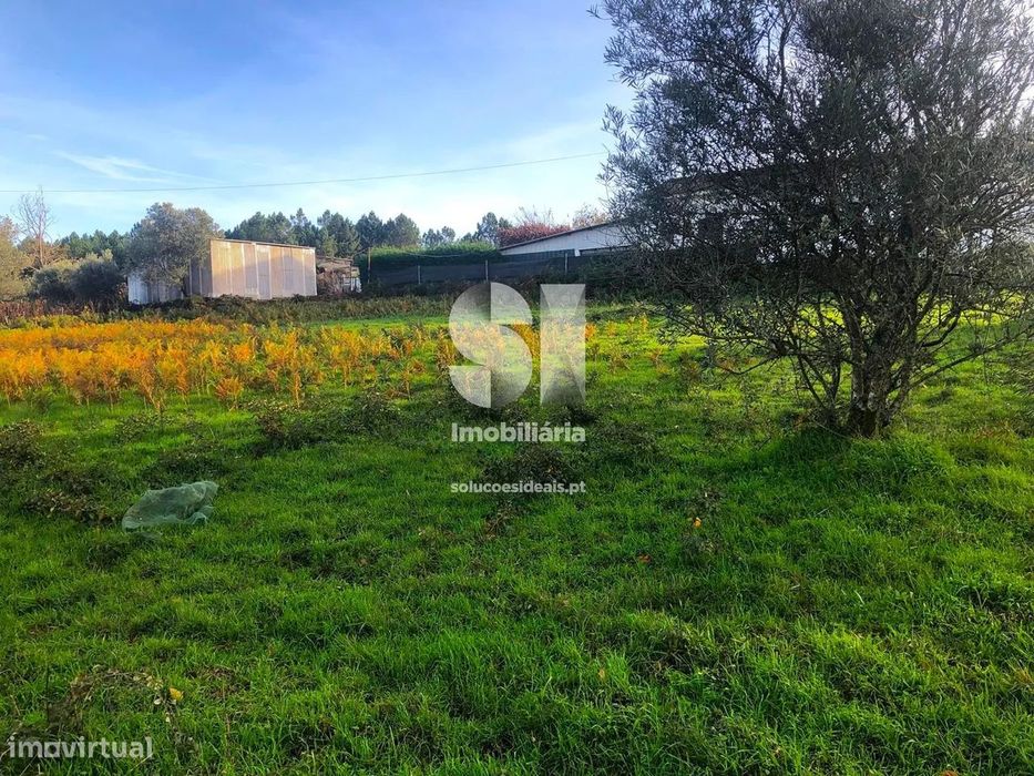 Terreno em Sabrosa