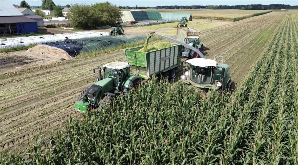 Zbiór kukurydzy na kiszonkę | Koszenie kukurydzy | Fendt Katana | Claas Jaguar |