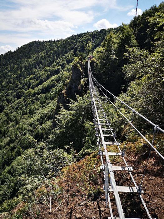 Via Ferrata Sprzęt wynajem zestaw wspinaczkowy lonża Uprząż Kask 5 SZT