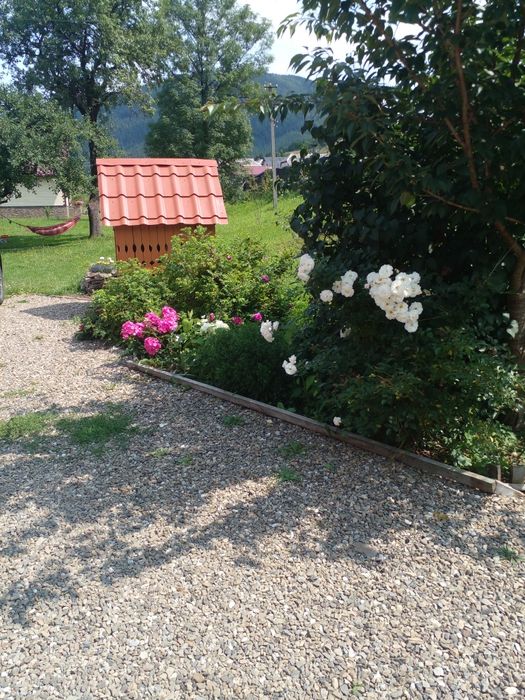 Здається котедж на три окремі номери