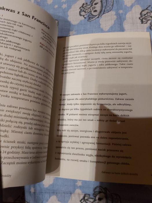 Sprzedam książka-Wypiekanie chleba Dan Lepard