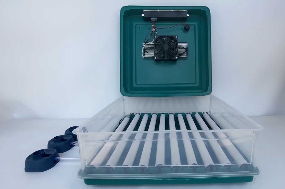 Инкубатор автоматический для птицы 70-G (220/12В). Інкубатор