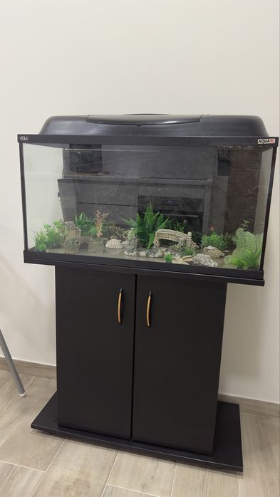 Aquario 100L com decoração e armario