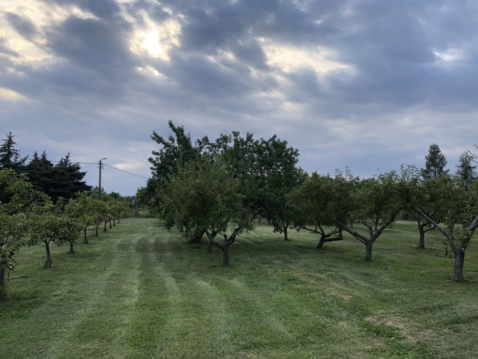 Usługi Ogrodnicze „Gardener”