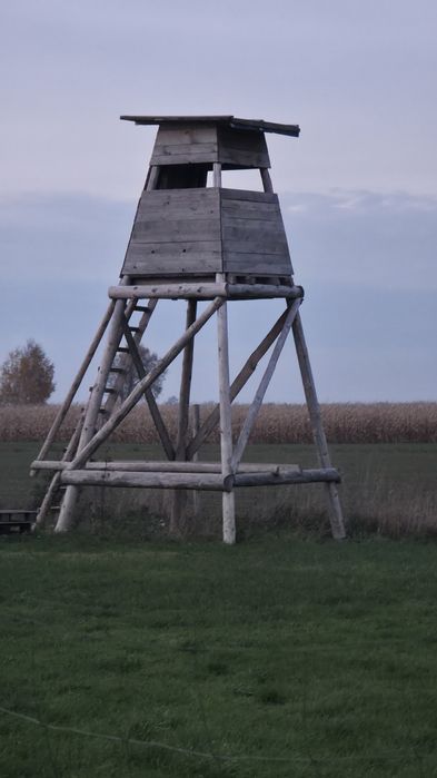 Wysoka ambona myśliwska