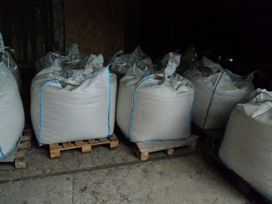 kukurydza sucha workowana 25kg lub big bag