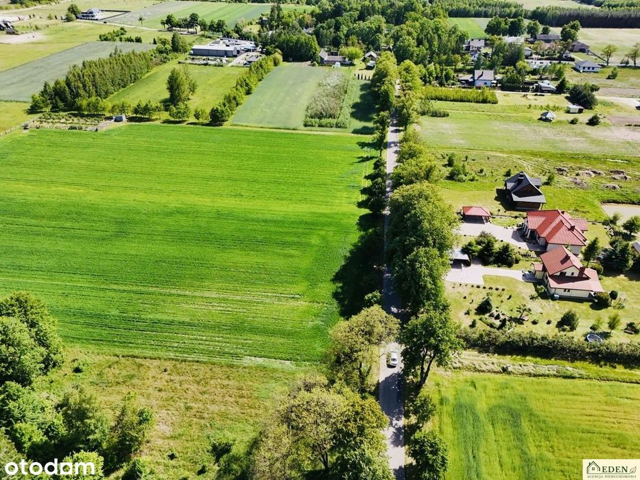 6 działek wydane WZ w Chlewiskach, gm. Kotuń - Widok 5