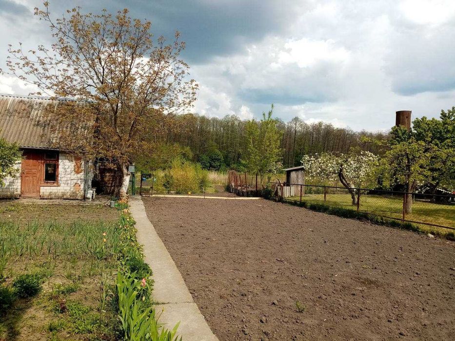 (7) Продаж  будинку в Стрижавці (5813)