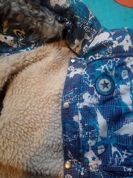 Курточка зима для хлопчика розмір 92-110