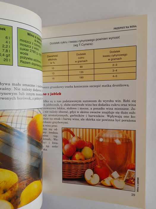 Wina domowe i potrawy z winem - Bolesław Pilarek