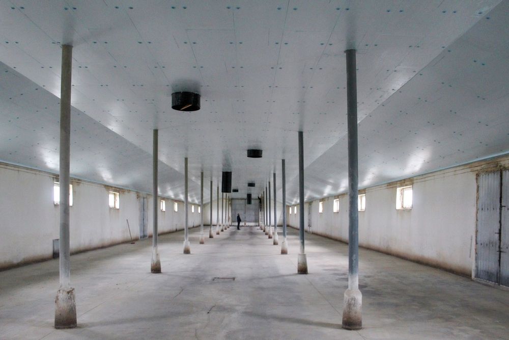 Ocieplenie Dachu Kurnika Obory Chlewni Podbitka Styrodur XPS AGRO