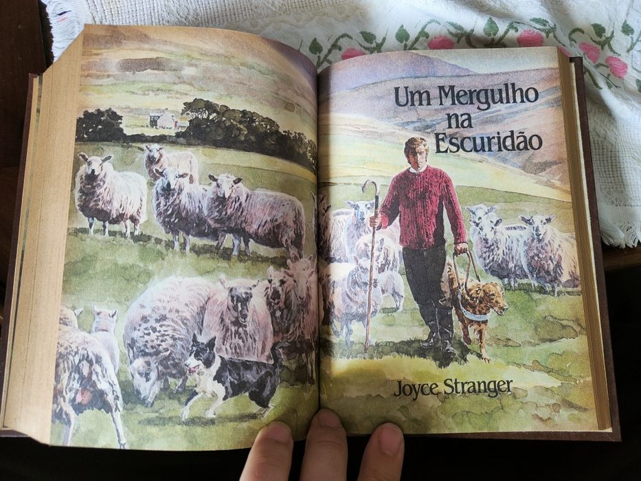 Livro Condensado com 4 Histórias e Ilustrações