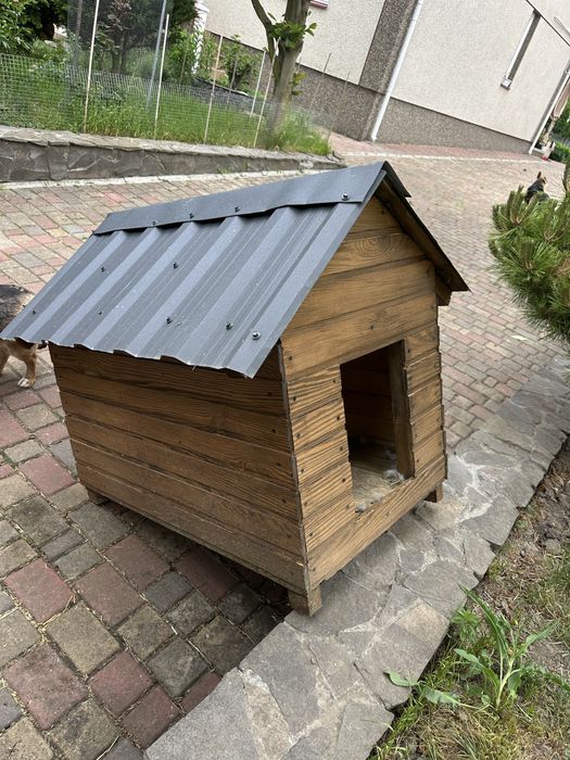 Продам буду собачу
