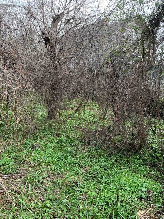 Круглик продам домик с участком