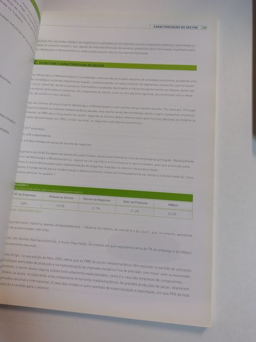 Prevenir: Prevenção como solução: caracterização do sector