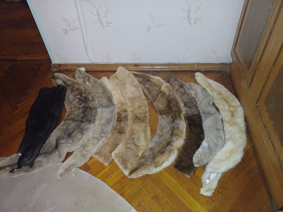 Продам шкурки норок.