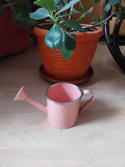 Konewka do podlewania