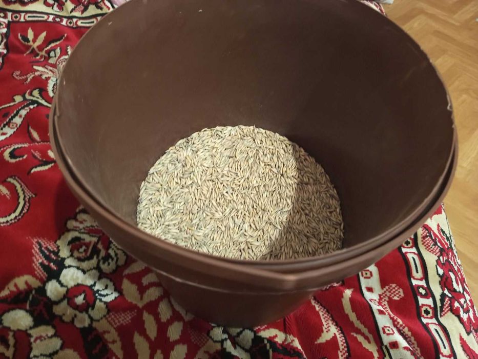 Овес продам Овес