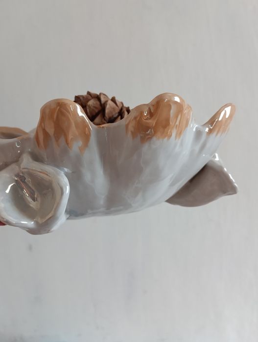 Ваза ракушка. Новая