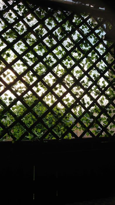 Sztuczny bluszcz 50 m na ścianę balkon taras dekoracja 50 metrów