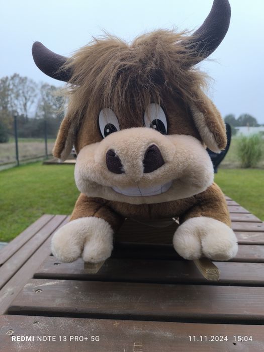 bujany byczek maskotka