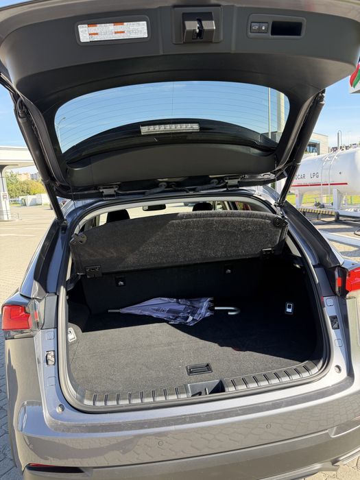 Лексус NX 300 Lexus