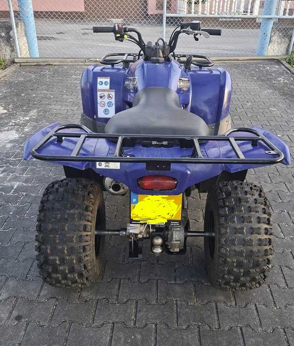 Moto4 Yamaha Grizzly 300 (14)