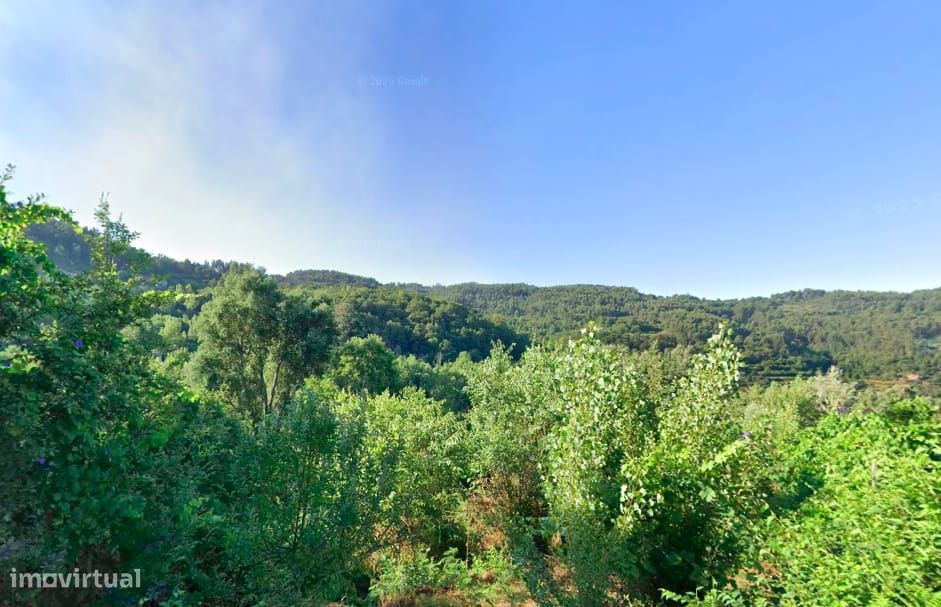 Terreno com 30 000 m2 no Douro e a 60 km Porto