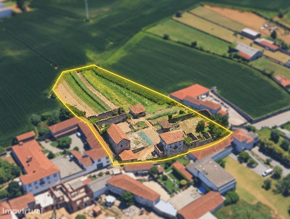 Quintinha / Propriedade com cerca de 3.500 m² e 800 m² de construção |