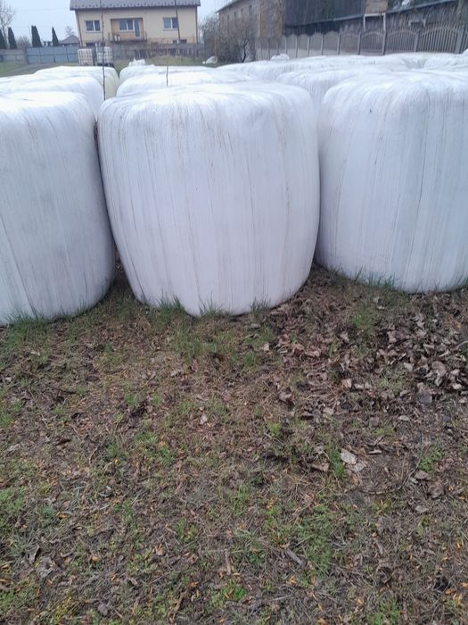 Siano i sianokiszonka