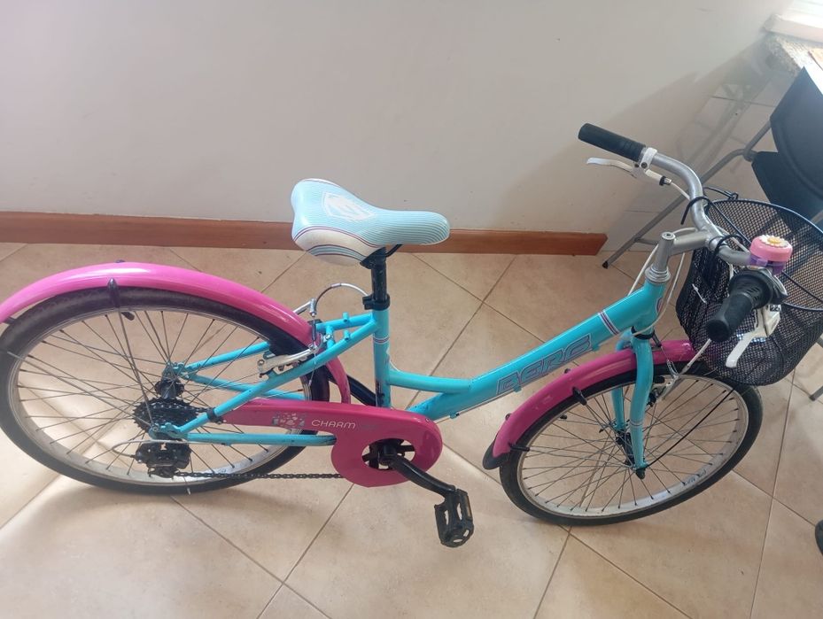 Bicicleta aro 24