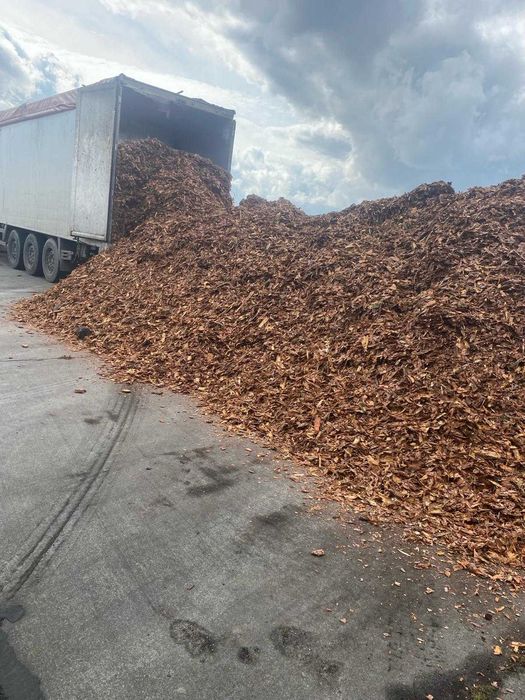 Kora Sosnowa średnio gruba do ściółkowania Próchnica do zakwaszania