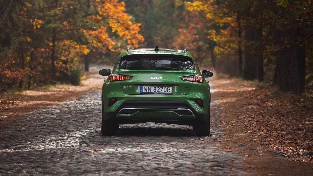 Zdjęcie w galerii numer 5