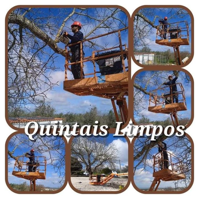 Prestação de serviços de jardinagem e de limpeza