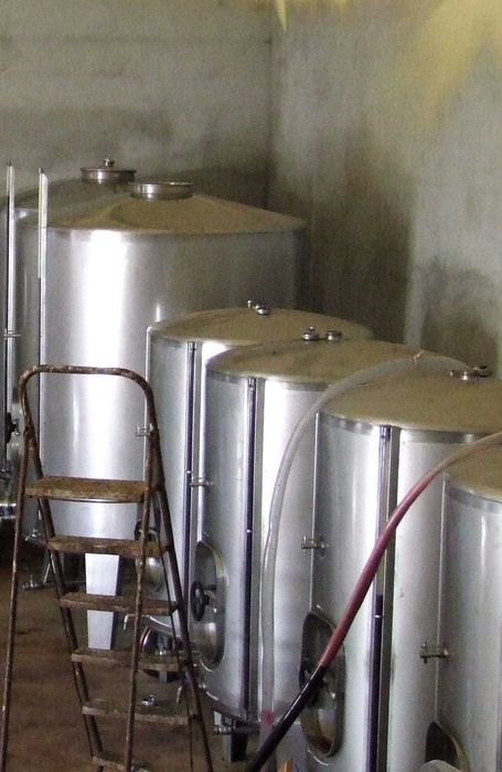 Cubas Vinho Inox - Várias Capacidades