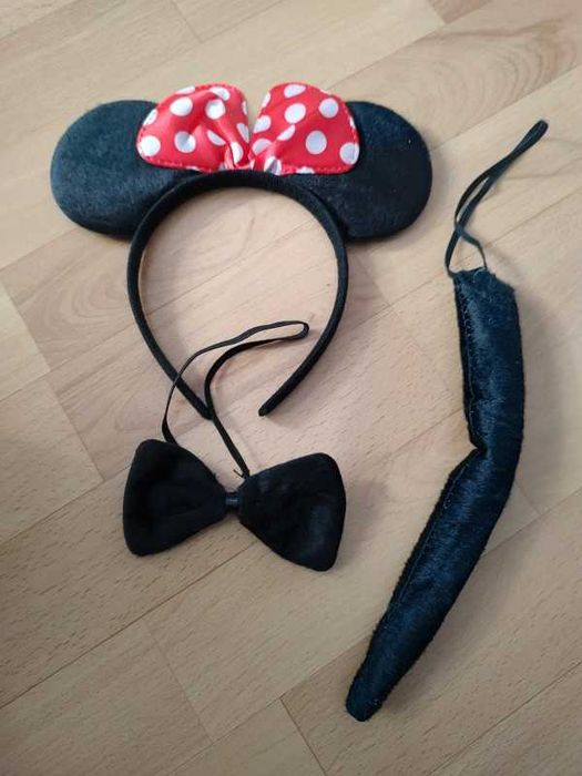 przebranie ,strój karnawałowy