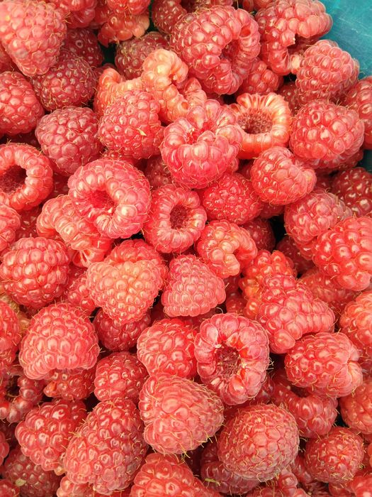 Domowe soki ze swoich owoców z ogrodu