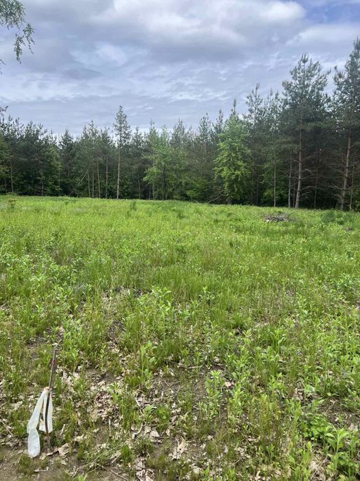 Продаж ділянки біля лісу с. Славне