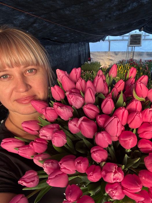 Тюльпани опт до 8 березня