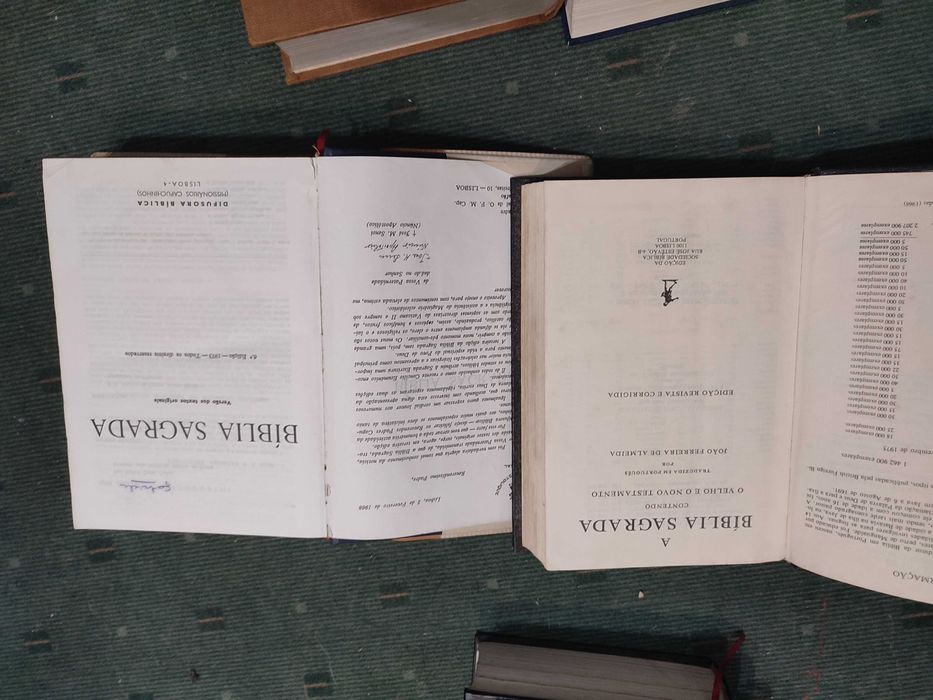 Lote 7 Biblias Diferentes Edições