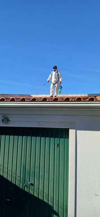 Limpezas de telhados
