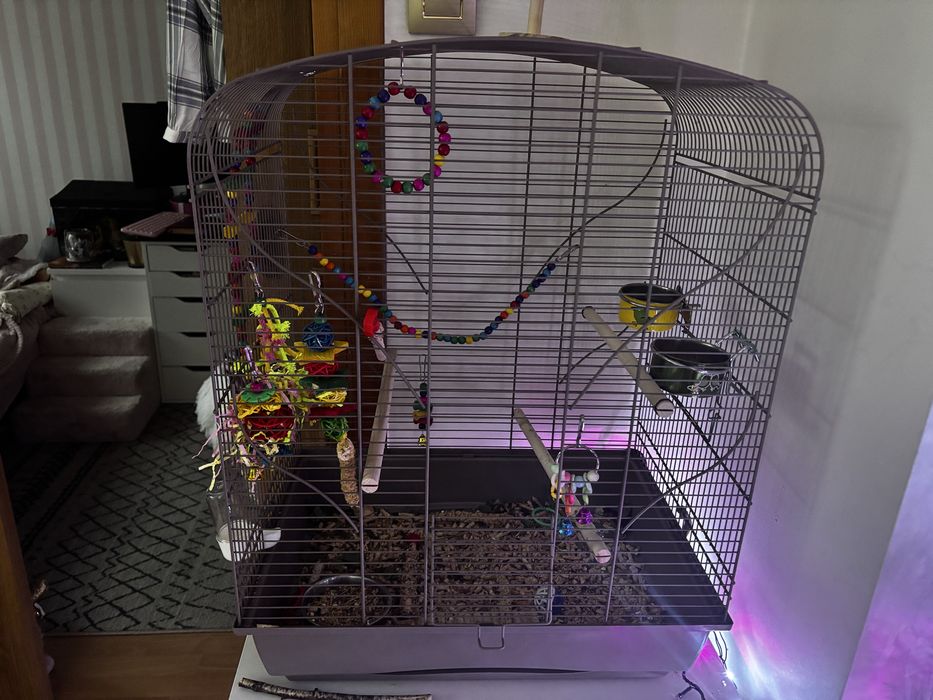 Sprzedam klatke dla papugi