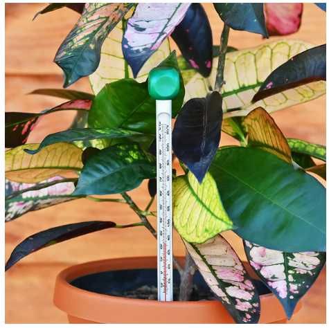 Termómetro, como NOVO!