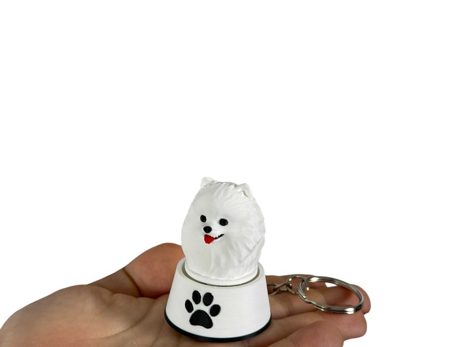 Piesek Pomeranian w Misce Kliker 3D 3w1 – figurka, brelok i clicker antystresowy