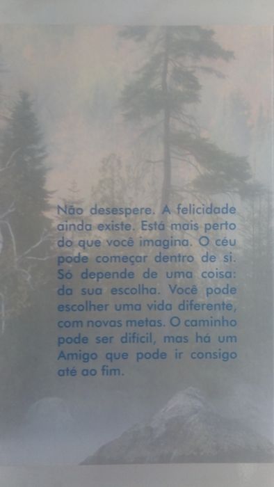 Nossa Senhora da Floresta e Como encontrar a paz interior